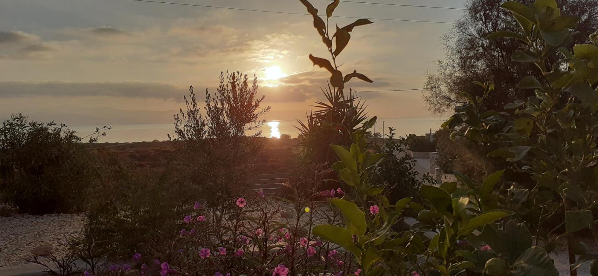 شقة Meltemi 1 Nea Cryssi Akti المظهر الخارجي الصورة